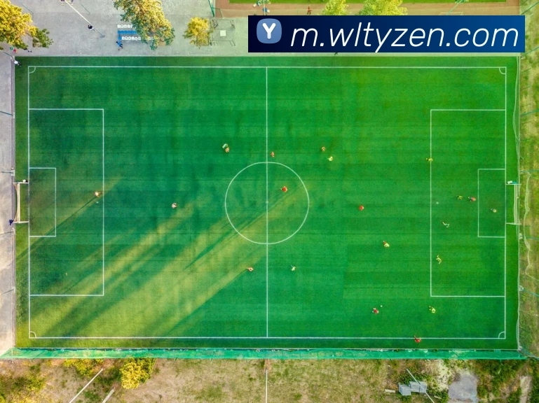 App Interface Preview