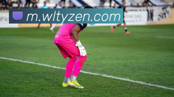 纬来体育APP 封面图